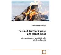 Fluidized Bed Combustion And Identification: Co-Combustion Of Municipal Solid Waste And Lignite