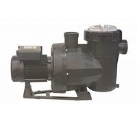 Fluidra 65561 - Pompe Victoria Plus Silent 3/4 CV trifasica