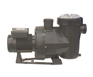 Fluidra 65566 Pompe Victoria Plus Silent 2 CV Mono