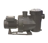 MTH Pompe de piscine Victoria Plus Silent 65560 - 3/4 CV mono