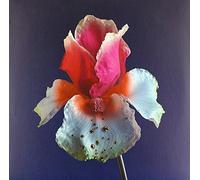 Flume (Feat. Beck) - Tiny Cities (12") [Import]