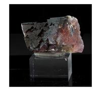 Fluorite. 485.0 Ct. Massif Du Mont-Blanc (Les Droites), France.