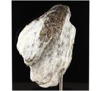 Pyrite + Dolomite. 1591.50 Ct. Binntal, Suisse.
