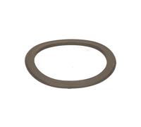 Flusensiebdichtung Joint Machine à Laver 55 MM Electrolux 126061601 1260616014