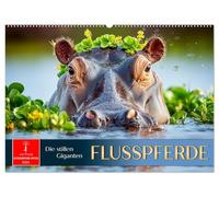 Flusspferde - die stillen Giganten (Wandkalender 2026 DIN A2 quer), CALVENDO Monatskalender: Sanfte Giganten. Staunen. Schmunzeln. Träumen.