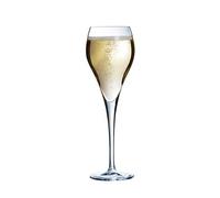 Flûte à champagne 16 cl Brio