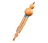 Flûte chinoise bambou Hulusi débutant adulte Double ton instruments de musique traditionnels B plat Hulusi avec étui professionnel(Minor D)