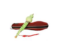 Flûte En Calebasse Standard Hulusi en résine à clé plate ou C un Instrument professionnel Portable pour adultes et débutants(Green C key)