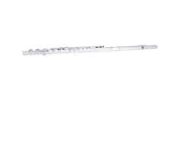 Flute Flûte C à 16 touches à trou fermé avec mécanisme Split E | Tonalité équilibrée et ciblée et conception portable
