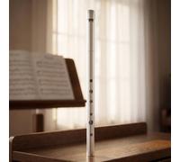 Flûte Irlandaise Argenté, Argent, C | Pour Débutants, Métallique, Instrument, Initiation Musicale, Scolaires