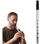 Flûte irlandaise Tin Whistle en Ré pour débutants - Flûte à six trous, son clair, finition argentée anti-oxydation & kit de démarrage (sacoche & tableau de doigtés inclus)