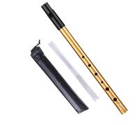Flûte Irlandaise Tin Whistle Tonalité D Son Exceptionnel Flûte à Bec Pour Débutants Amateurs de Musique avec Étui Protecteur