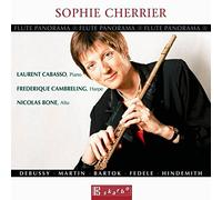 Flûte Panorama Vol.8 : Debussy, Martin, Bartòk ...