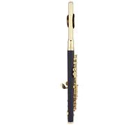 Flûte Piccolo, Kit d'instruments Piccolo (GOLD)