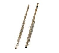 Flûte Professionnelle Flûte 16 Trous En Do Plaqué Or Et Argent Instrument De Jeu Pour Débutant Adulte