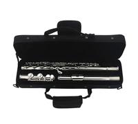 Flûte professionnelle Flûte Traversière À 16 Trous En Do À Trous Fermés Instrument À Vent En Bois