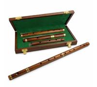 Flûte traditionnelle irlandaise en « D » avec étui en bois dur, 4 parties 66 cm avec diapositive d'accordage