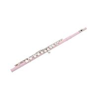 Flûte Traversière En Laiton Blanc Nickelé Flûte De Ton C À 16 Trous Fermés Facile Jouer(Pink)