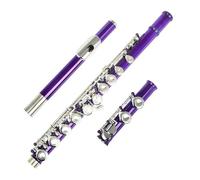 Flûte Traversière Flûte À Trou Fermé Pour Débutant Corps En Laiton Blanc Nickelé 16 Pièces Avec Accessoires(PURPLE)