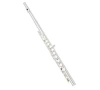 Flûte Traversière Flûte C À 16 Clés Trou Fermé Instrument Pour Débutant Livré Avec Kit Porte Gants Barre De Passage Facile Jouer(Silver)