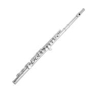 Flûte Traversière Flûte Nickelée 16 Trous Fermés Ton C Performance Professionnelle Durable(Silver)