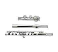 Flûte Traversière Flûte Transversale D'instruments De Représentation Concert Des Trous Fermés C 16 Avec La Silver)