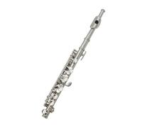 Flûte Traversière Instrument en laiton blanc de flûte Piccolo avec la représentation professionnelle tonalité C 16 trous(Silver)