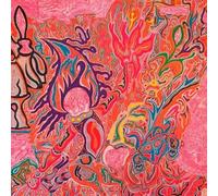 Flute & Voice - Imaginations of Light + Hallo Rabbit (2lp)