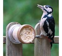 Flutter Butter® Mangeoire Murale pour Jardin et Oiseaux Sauvages - Jacobi Jayne® Flutter Butter® Feeder - Parfait pour Les abris de Jardin et Les clôtures