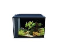 fluval aquarium équipé spec xv