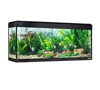 Fluval Aquarium Roma éclairage LED Bluetooth, 240 l, Noir