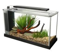 Fluval Aquarium Spec V 19 L Noir