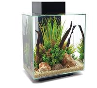 fluval aquarium équipé edge - 46 l - noir Noir