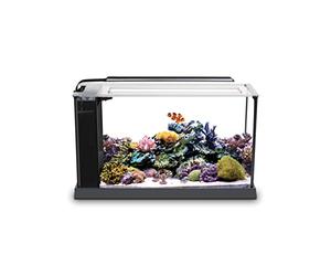 Fluval Kit d'aquarium Marin Evo V 10528A1, 5 gallons