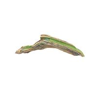 FLUVAL Plante d'Aquarium pour Aquariophilie Racine avec Mousse 28,5 cm