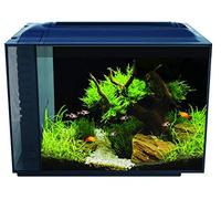 fluval aquarium équipé spec xv