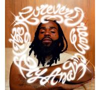 Fly Anakin - (The) Forever Dream [VINYL]