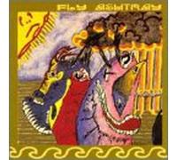 Fly Ashtray - Tone Sensations of The Wonder