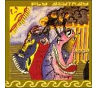 Fly Ashtray - Tone Sensations of The Wonder