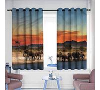 Fly Flot Femme 855416 Chaussures de Santé Noir 40 EU