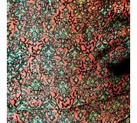 FLY or DIE LIVE by jaimie branch [Audio CD] NEUF