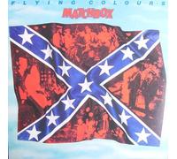 Flying Colours [Vinyl LP] [Schallplatte]