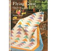 Flying Geese Quilt in a Day