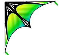 Flying Hoofer Cerf-volant Delta pour adultes et enfants - 152 x 76 cm - Cerf-volant intégré, facile à voler - Complet avec cordon de cerf-volant de 300 m et poignée.