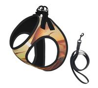 Flying Seagulls Harnais pour chien avec sangles réfléchissantes et boucles à dégagement rapide Convient aux petits chats et chiens