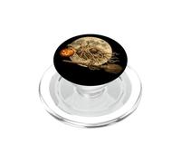 Flying Spaghetti Monster FSM Jack O Lantern Moon Balai PopSockets PopGrip pour MagSafe