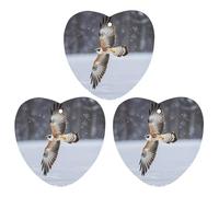 Flying White Eagle Lot de 3 désodorisants à suspendre pour voiture, maison, bureau, style blanc