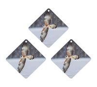 Flying White Eagle Lot de 3 désodorisants à suspendre pour voiture, maison, bureau, style blanc