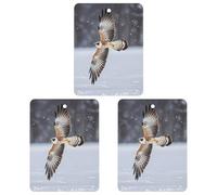 Flying White Eagle Lot de 3 désodorisants carrés à suspendre pour voiture, maison, bureau, style noir