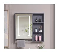 FLYIODFCXV Armoire de Salle de Bains avec Miroir, Grande capacité de Stockage, Miroir Haute définition, adapté à Plusieurs scénarios(Grey,60 * 70cm/23.6 * 27.5in)
